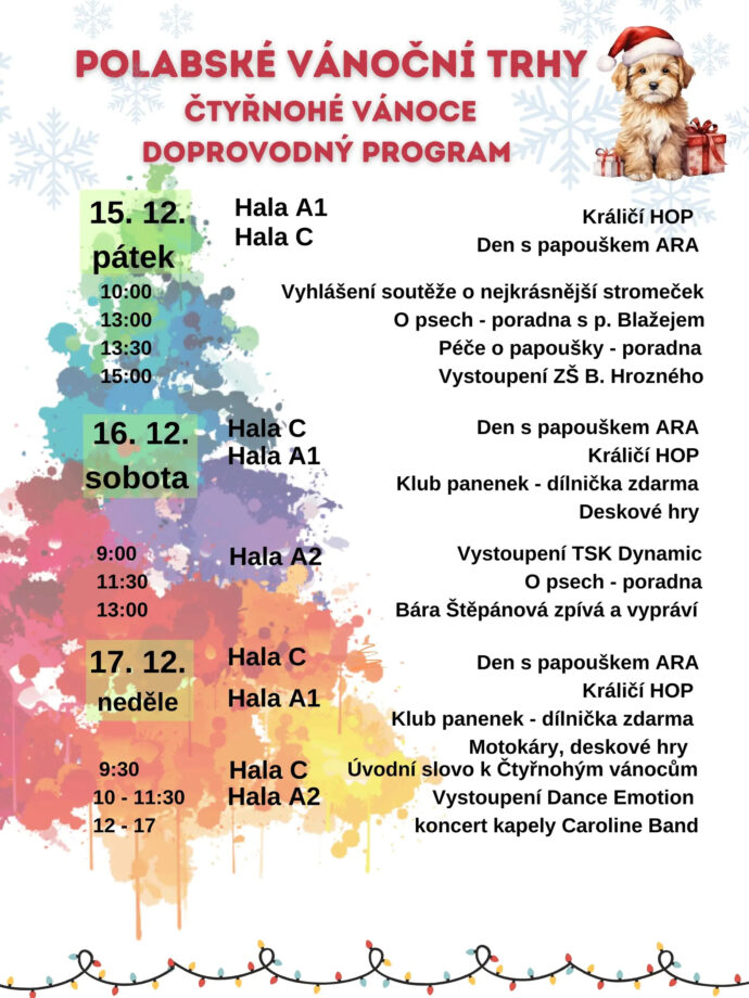 Polabské vánoční trhy. Foto: © VLL
