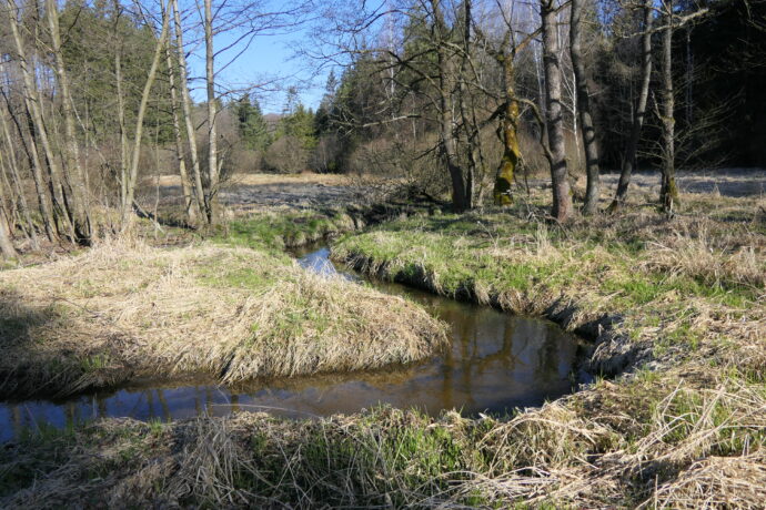 Mokřady Pod Trojanem
