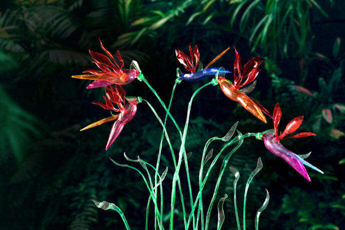 Foto: ©Botanická zahrada Praha