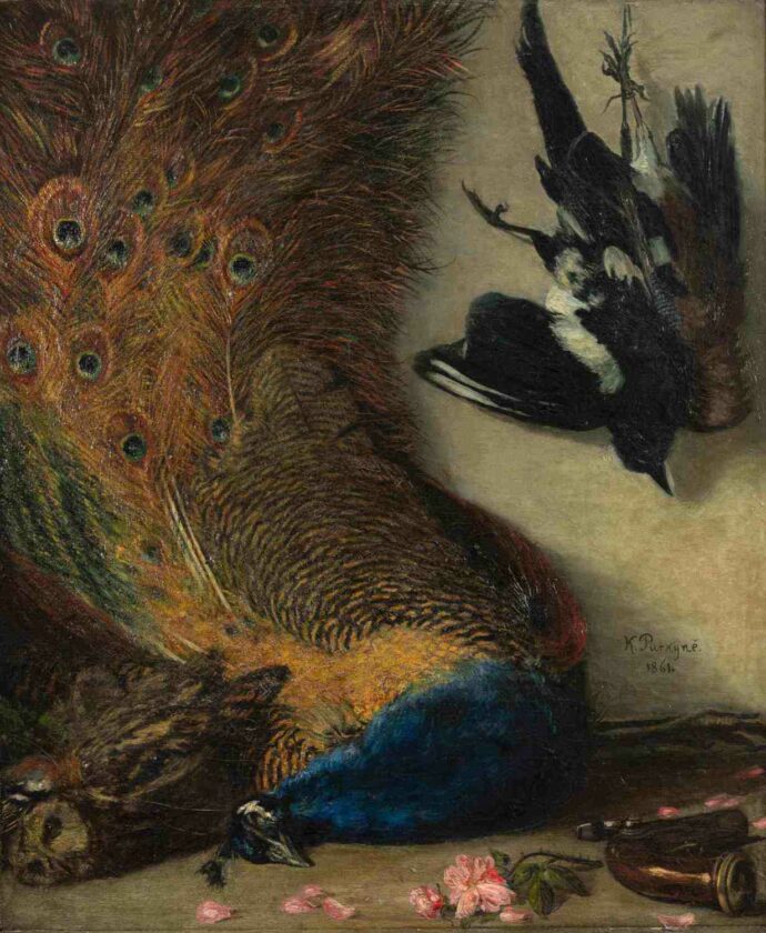 Karel Purkyně, Zátiší s pávem (Cikánova lovecká kořist), 1861. Foto © Západočeská galerie v Plzni