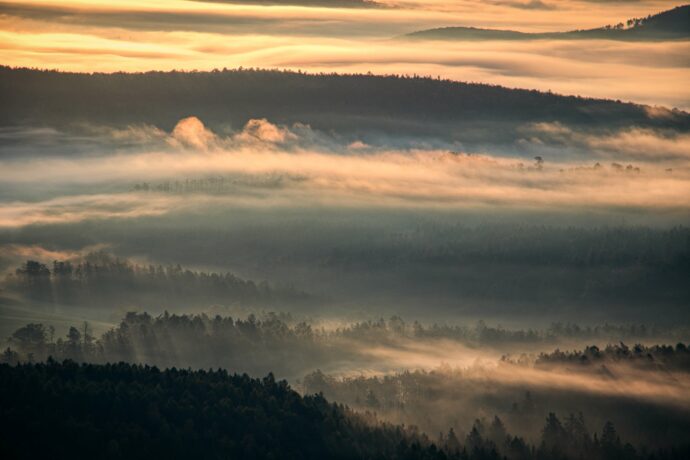 Křivoklátské lesy v ranní mlze. Foto: ©Vít Volf