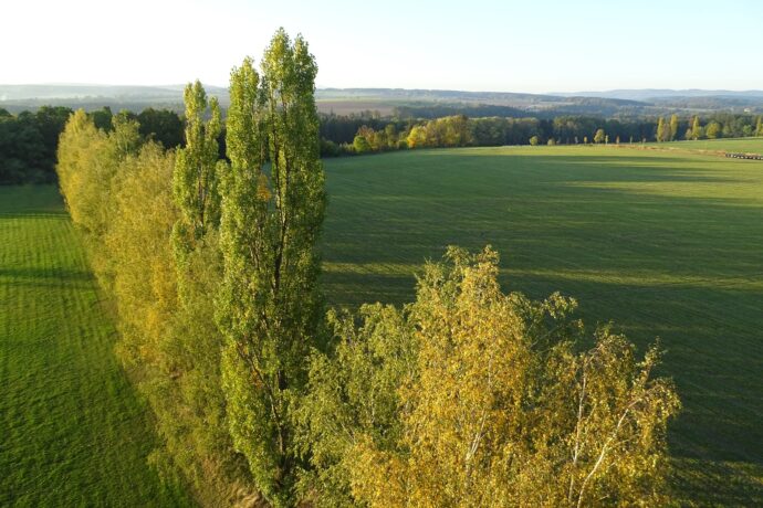Rozhledna Žernov