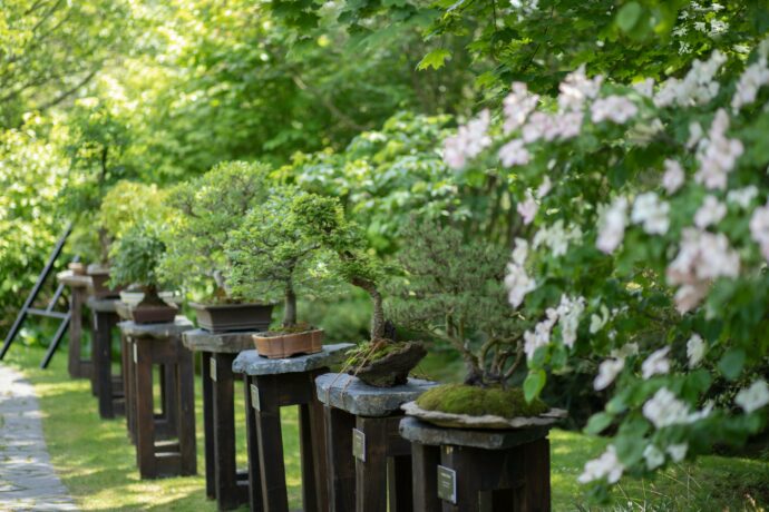 Botanická zahrada hl. m. Prahy hodnotí úspěšnou sezónu 2023