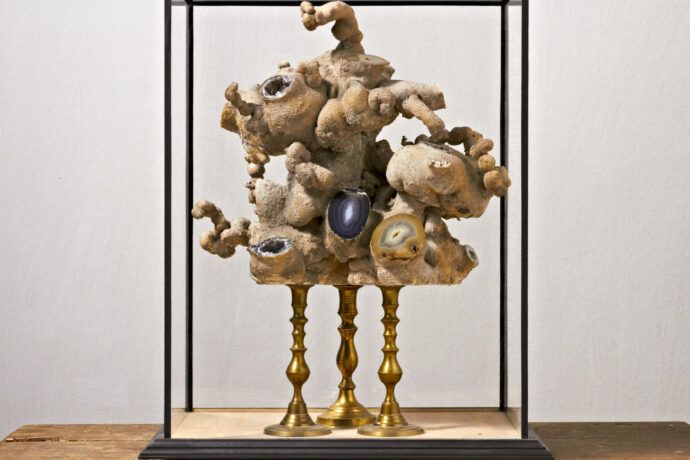 DISEGNO INTERNO – EVA ŠVANKMAJEROVÁ / JAN ŠVANKMAJER