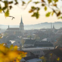 Originál Alfonse Muchy, dům osvěty i pumtrack. Rokycany jsou místem s rozmanitými možnostmi
