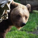 Zoo Dvorec