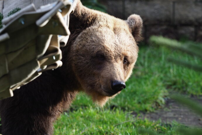 Zoo Dvorec