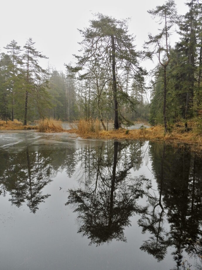 Ranská jezírka. Foto © Výletník
