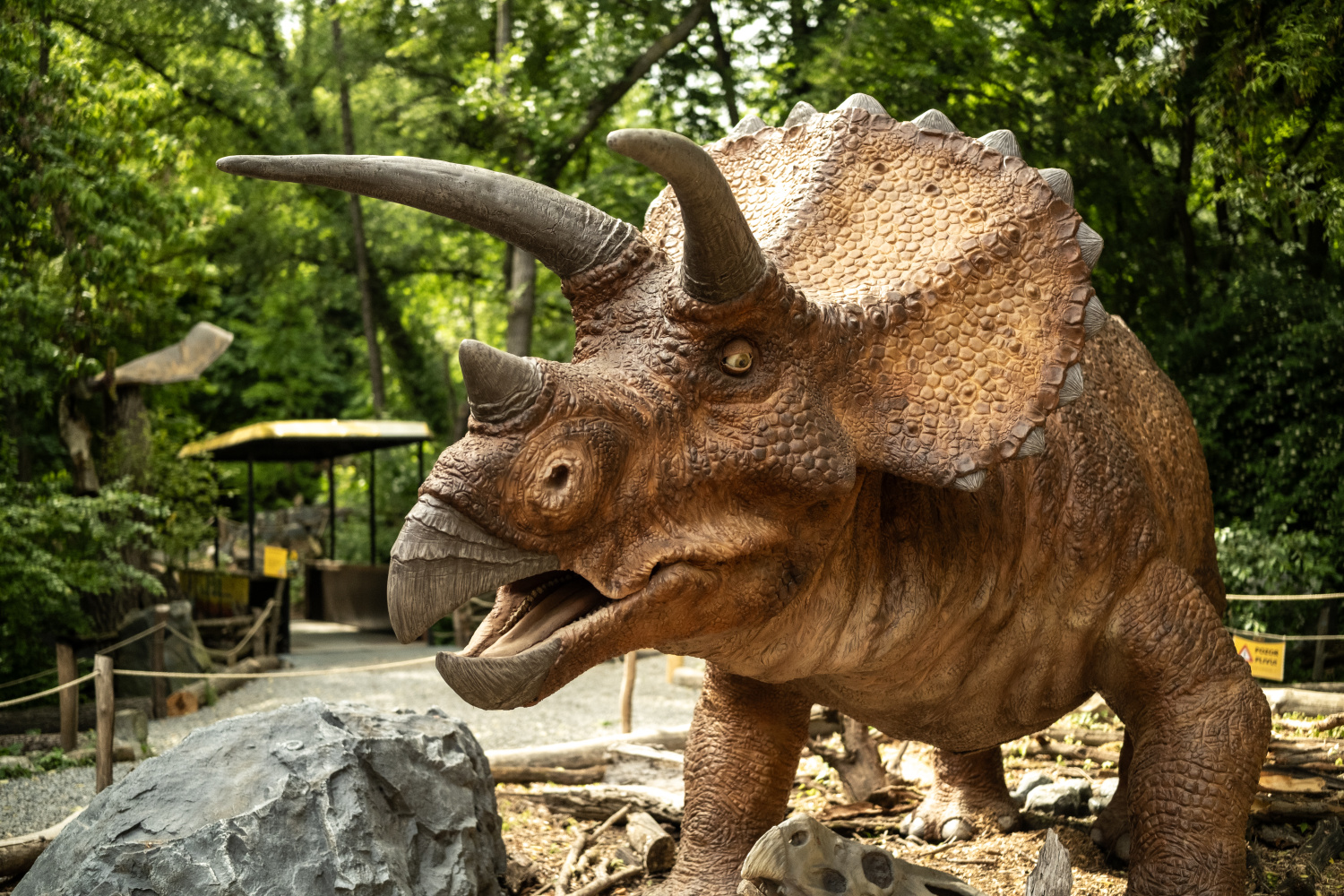 DinoPark Vyškov. Foto: ©Dinopark