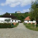 Modřanská vinice. Foto © Jana Kučerová