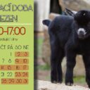 Foto: ©Zoo Dvorec