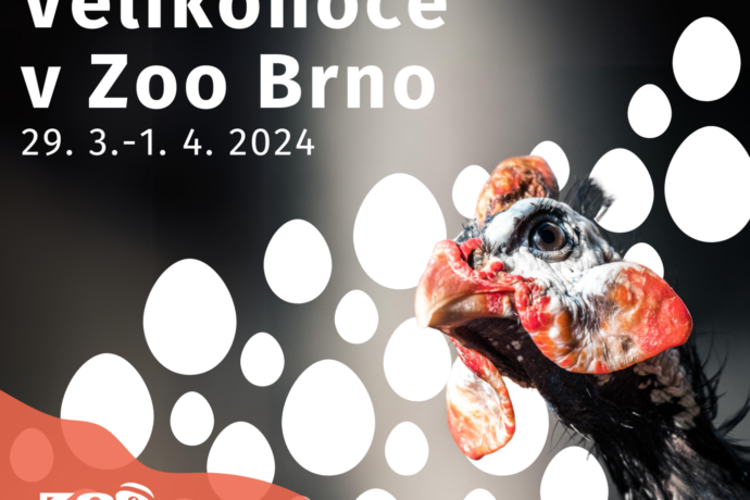 Velikonoce v Zoo Brno 2024