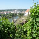 Vinice NKP Vyšehrad Staré purkrabství