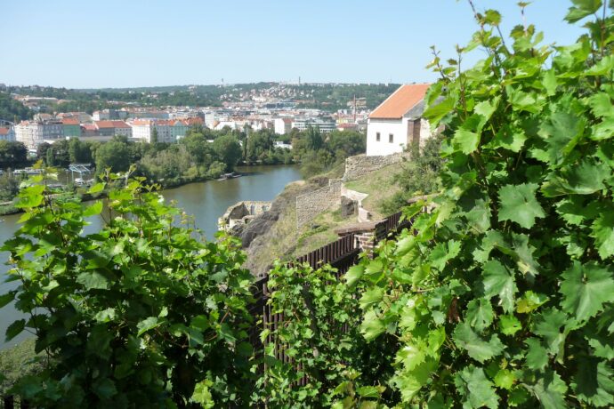 Vinice NKP Vyšehrad Staré purkrabství