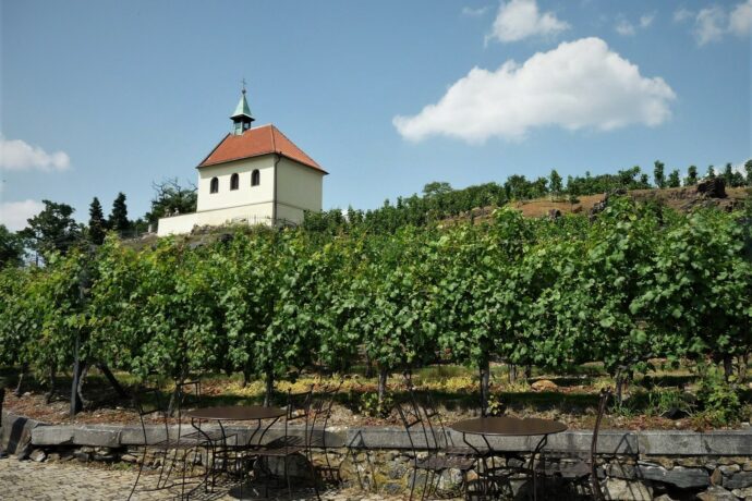 Vinice sv. Kláry - Troja