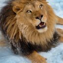 Foto: ©Zoopark Olovnice