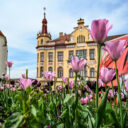 Vodňanské rybářské dny. Foto: © Píseckem