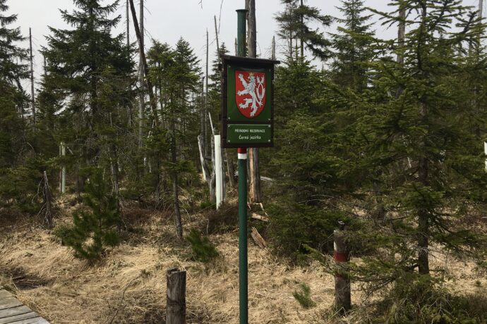 Přírodní rezervace Černá jezírka