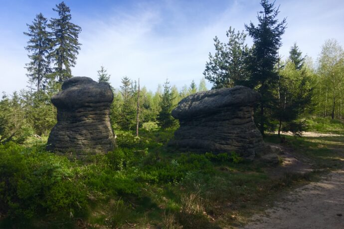 Slavenské hřiby