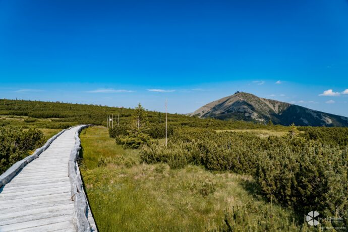 Krkonoše. Foto: ©Martin Paducha