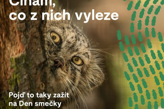 Den dětí 2024 v Zoo Brno — Den smečky
