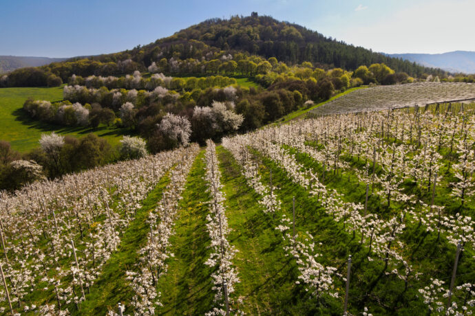 Hrad Šumburk. Foto: ©Martin Motlík