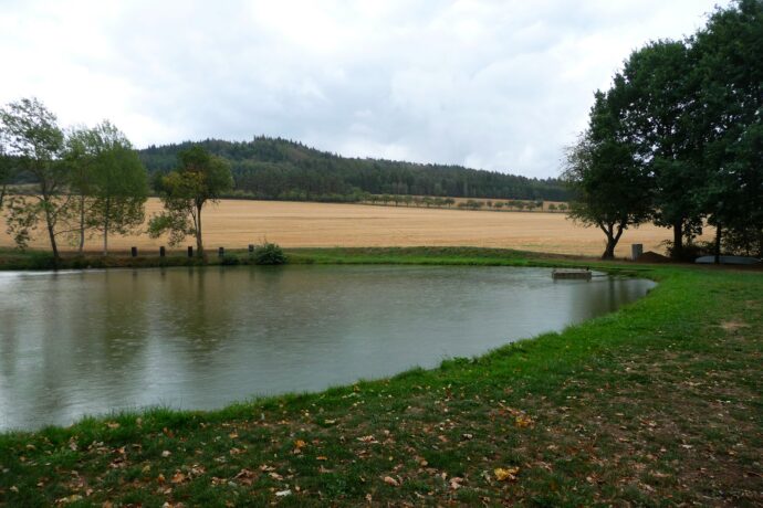 Koloveč