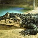 ZOO Protivín