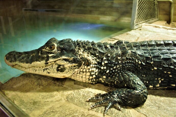 ZOO Protivín