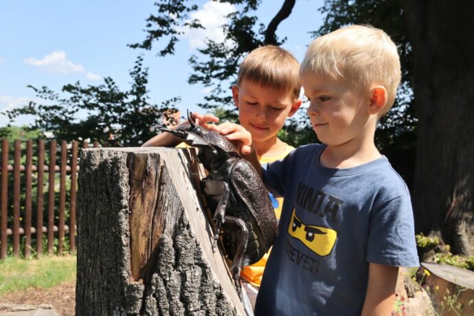 Foto: ©Muzeum regionu Valašsko