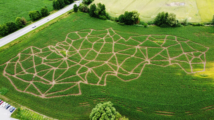 Kukuřičáci — největší bludiště v ČR. Foto: ©Kukuřičáci