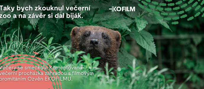 Komentovaná večerní procházka zahradou s filmovým promítáním v Zoo Brno