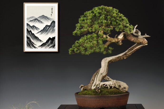 Prožijte den plný umění a přírody na výstavě bonsají a japonského umění