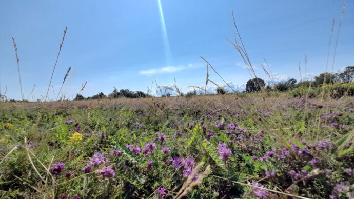 "Tundra" Stora Alvaret. Foto: ©Citybikes 