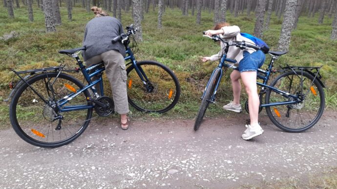 Borůvkám a brusinkám se nedalo odolat. Foto: ©Citybikes 