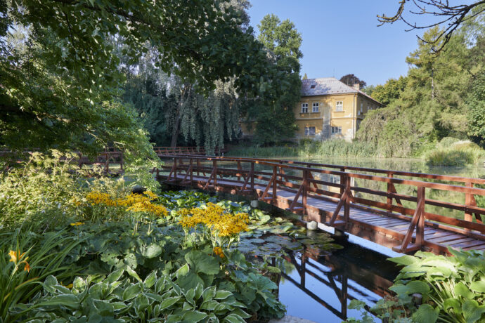 Arboretum v Bílé Lhotě