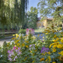 Arboretum v Bílé Lhotě