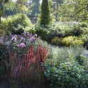 Arboretum v Bílé Lhotě