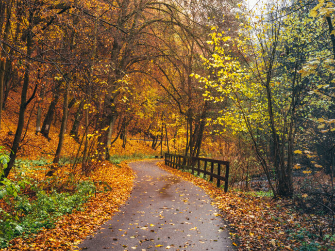Bezručovo údolí. Foto: ©Město Chomutov