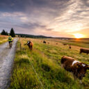 Krušné hory – CzechTourism