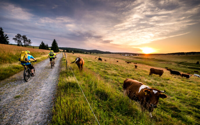 Krušné hory. Foto: ©CzechTourism