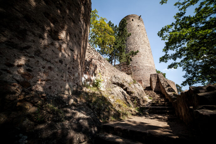 Točník. Foto: ©archiv SCCR