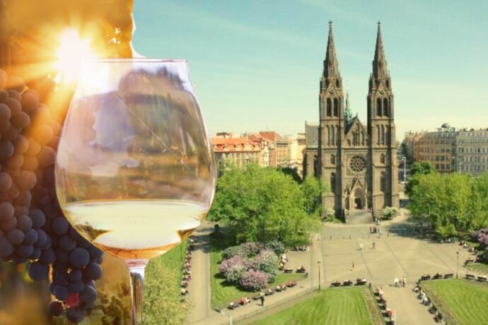 Vinobraní na náměstí Míru Praha 2024