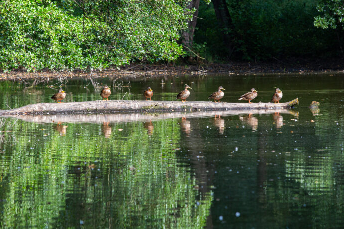 Pohoda v parku zámku Jemniště. Foto: ©Michael Kolář