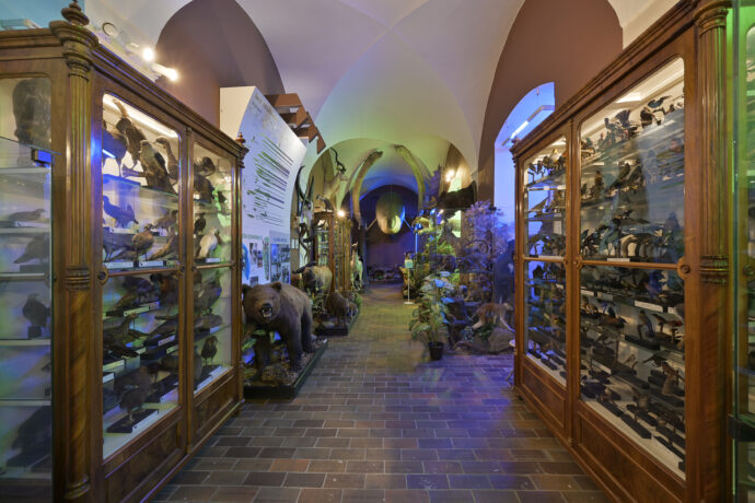 Foto: ©Vlastivědné muzeum a galerii v České Lípě