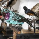 Foto: ©Vlastivědné muzeum a galerii v České Lípě