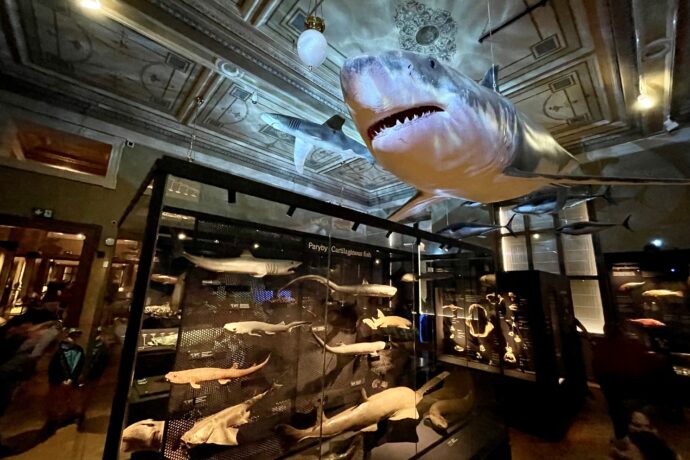 Národní muzeum, Praha. Foto: ©Michael Kolář