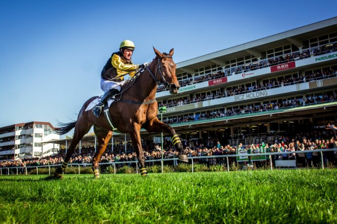 Tribuny na Velké pardubické. Foto © Dostihový spolek
