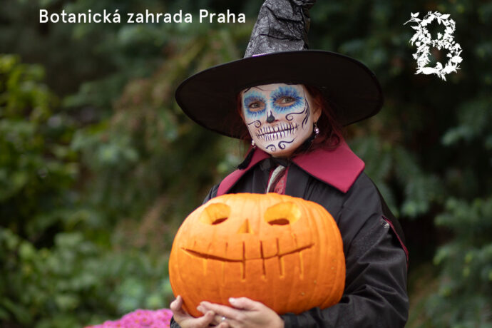 Foto: ©Botanická zahrada Praha