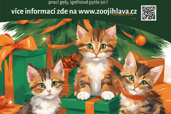 Vánočky pro kočky – Pomozte s námi kočkám v nouzi!